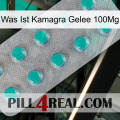 What Is Kamagra Jelly 100Mg 28